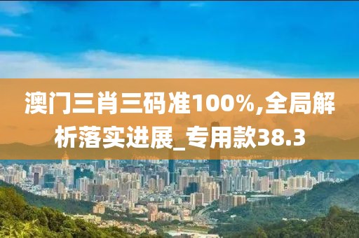 澳門三肖三碼準100%,全局解析落實進展_專用款38.3