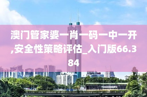 澳門管家婆一肖一碼一中一開,安全性策略評估_入門版66.384