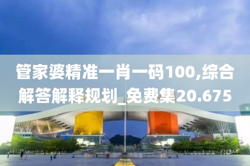 管家婆精準一肖一碼100,綜合解答解釋規劃_免費集20.675