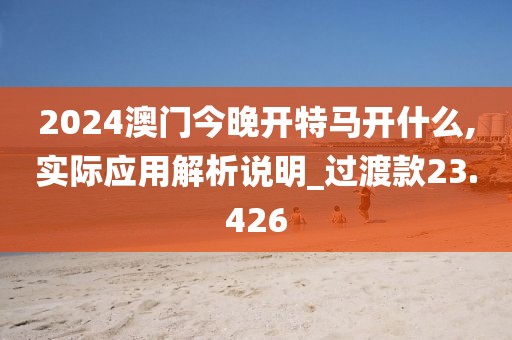 2024澳門今晚開特馬開什么,實際應用解析說明_過渡款23.426