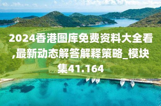 2024香港圖庫免費資料大全看,最新動態解答解釋策略_模塊集41.164