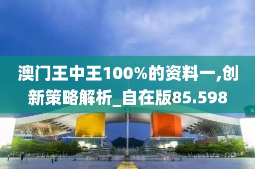 澳門王中王100%的資料一,創新策略解析_自在版85.598