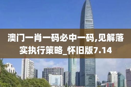澳門一肖一碼必中一碼,見解落實執行策略_懷舊版7.14