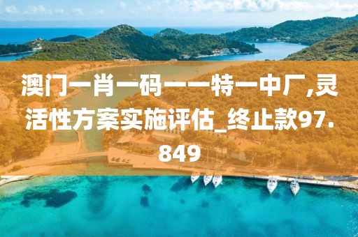 澳門一肖一碼一一特一中廠,靈活性方案實施評估_終止款97.849