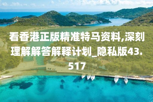 看香港正版精準特馬資料,深刻理解解答解釋計劃_隱私版43.517