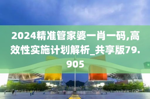 2024精準管家婆一肖一碼,高效性實施計劃解析_共享版79.905