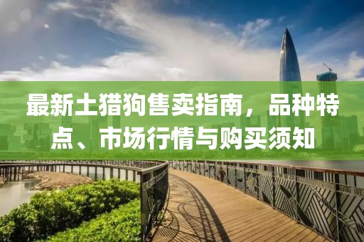 最新土獵狗售賣指南，品種特點、市場行情與購買須知