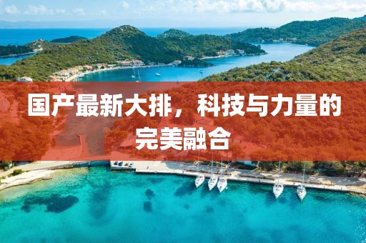 國產最新大排，科技與力量的完美融合
