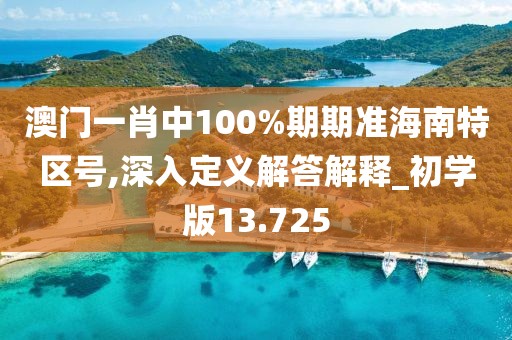 澳門一肖中100%期期準海南特區號,深入定義解答解釋_初學版13.725