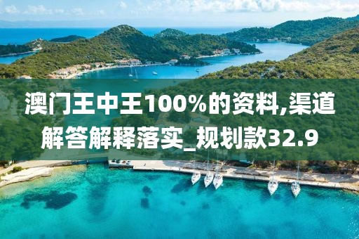 澳門王中王100%的資料,渠道解答解釋落實_規劃款32.9