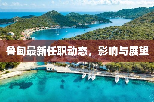 魯甸最新任職動態，影響與展望