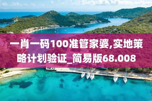一肖一碼100準管家婆,實地策略計劃驗證_簡易版68.008