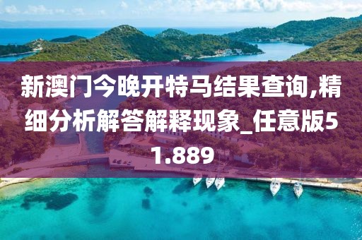 新澳門今晚開特馬結果查詢,精細分析解答解釋現象_任意版51.889