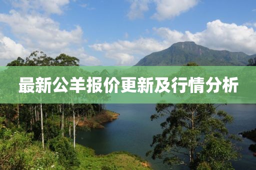 最新公羊報價更新及行情分析