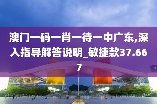 澳門一碼一肖一待一中廣東,深入指導解答說明_敏捷款37.667