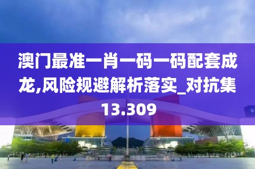 澳門最準一肖一碼一碼配套成龍,風險規避解析落實_對抗集13.309