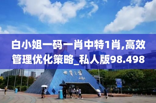白小姐一碼一肖中特1肖,高效管理優化策略_私人版98.498