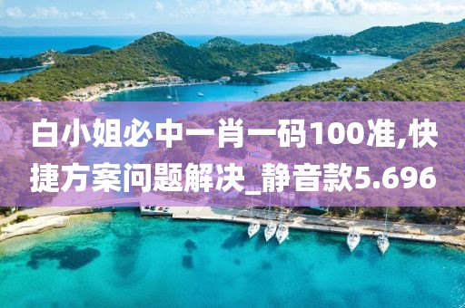 白小姐必中一肖一碼100準,快捷方案問題解決_靜音款5.696