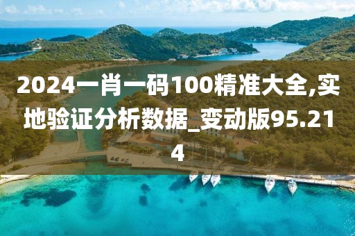 2024一肖一碼100精準大全,實地驗證分析數據_變動版95.214