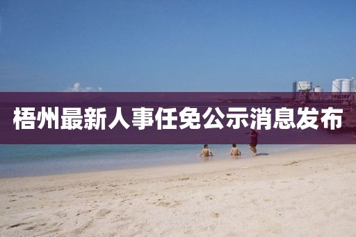 梧州最新人事任免公示消息發布