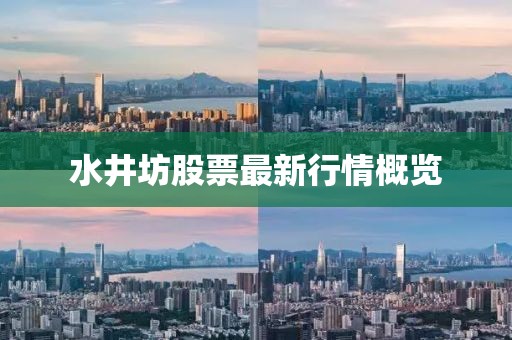 水井坊股票最新行情概覽