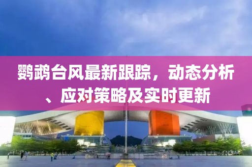鸚鵡臺風最新跟蹤，動態分析、應對策略及實時更新
