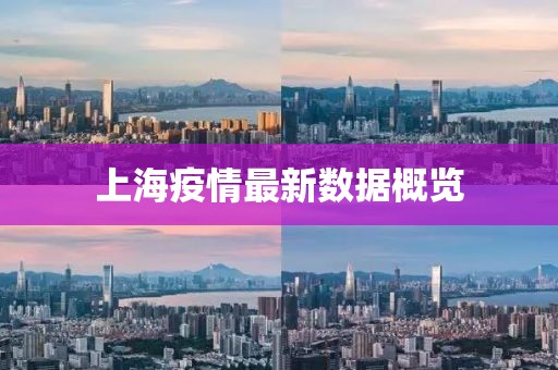 上海疫情最新數據概覽