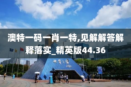 澳特一碼一肖一特,見解解答解釋落實_精英版44.36