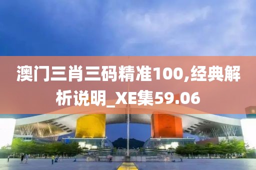 澳門三肖三碼精準100,經典解析說明_XE集59.06