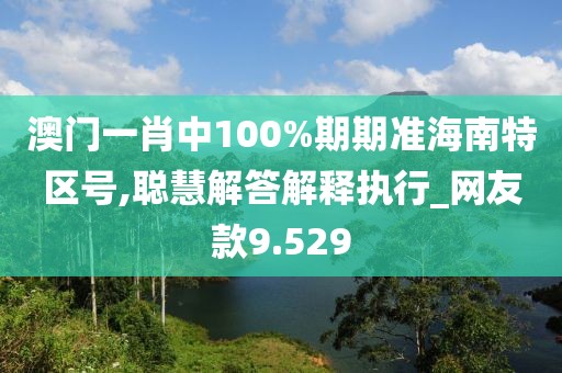 澳門一肖中100%期期準海南特區號,聰慧解答解釋執行_網友款9.529