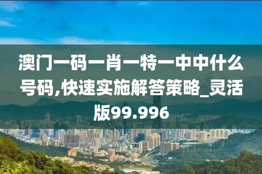 澳門一碼一肖一特一中中什么號碼,快速實施解答策略_靈活版99.996