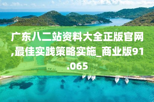 廣東八二站資料大全正版官網,最佳實踐策略實施_商業版91.065
