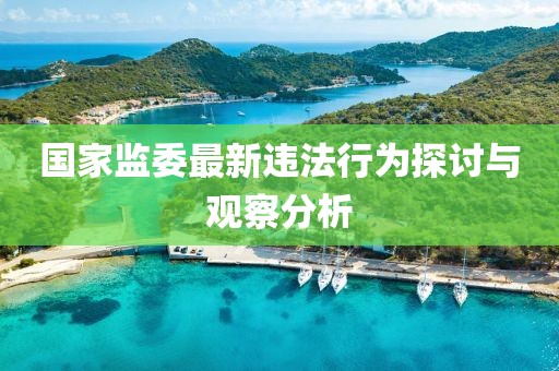 國家監委最新違法行為探討與觀察分析