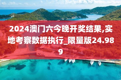 2024澳門六今晚開獎結果,實地考察數據執行_限量版24.989