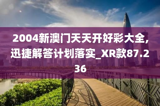 2004新澳門天天開好彩大全,迅捷解答計劃落實_XR款87.236