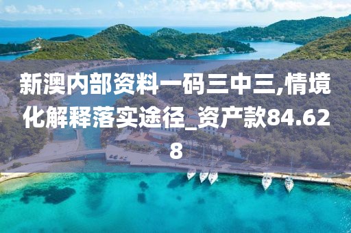 新澳內部資料一碼三中三,情境化解釋落實途徑_資產款84.628