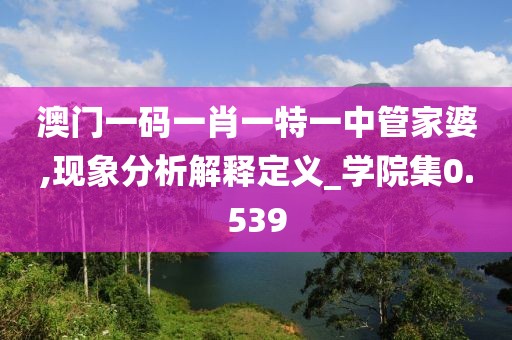 澳門一碼一肖一特一中管家婆,現象分析解釋定義_學院集0.539