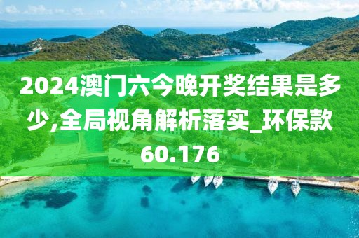 2024澳門六今晚開獎結果是多少,全局視角解析落實_環?？?0.176