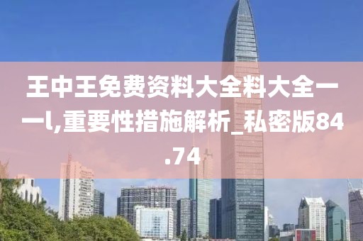 王中王免費資料大全料大全一一l,重要性措施解析_私密版84.74
