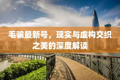 毛騙最新號，現實與虛構交織之美的深度解讀