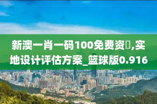新澳一肖一碼100免費資枓,實地設計評估方案_籃球版0.916