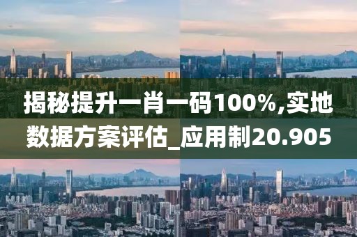 揭秘提升一肖一碼100%,實地數據方案評估_應用制20.905