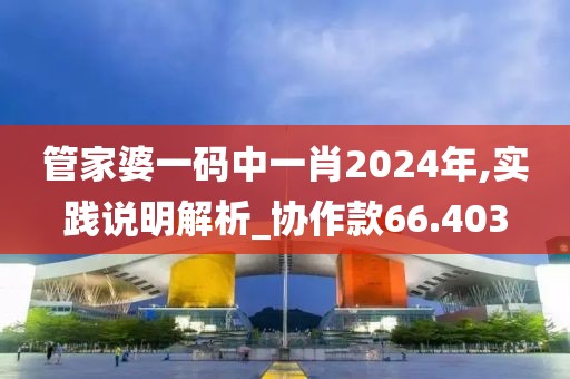 管家婆一碼中一肖2024年,實踐說明解析_協作款66.403