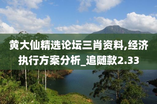 黃大仙精選論壇三肖資料,經濟執行方案分析_追隨款2.33