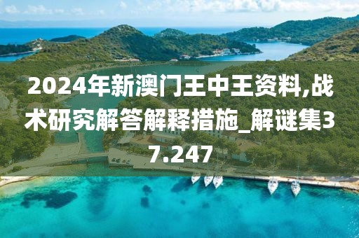 2024年新澳門王中王資料,戰術研究解答解釋措施_解謎集37.247