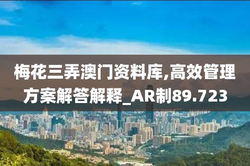 梅花三弄澳門資料庫,高效管理方案解答解釋_AR制89.723