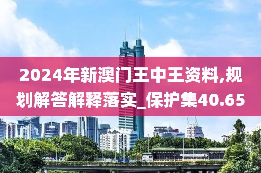 2024年新澳門王中王資料,規劃解答解釋落實_保護集40.65