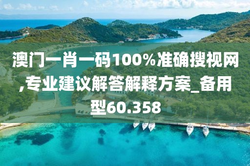 澳門一肖一碼100%準確搜視網,專業建議解答解釋方案_備用型60.358