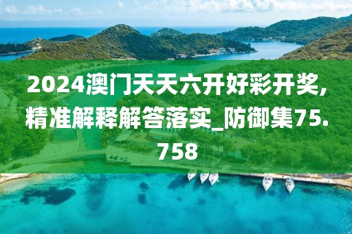 2024澳門天天六開好彩開獎,精準解釋解答落實_防御集75.758