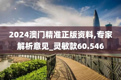 2024澳門精準正版資料,專家解析意見_靈敏款60.546